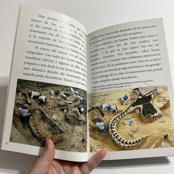 Borreguita y el Coyote Y Un Dinosaurio Llamado Sue Childrens Books Spanish - Picture 4 of 9